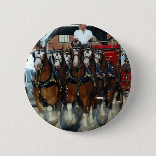 Clydesdale 6 horse hitch pinback button (Front)