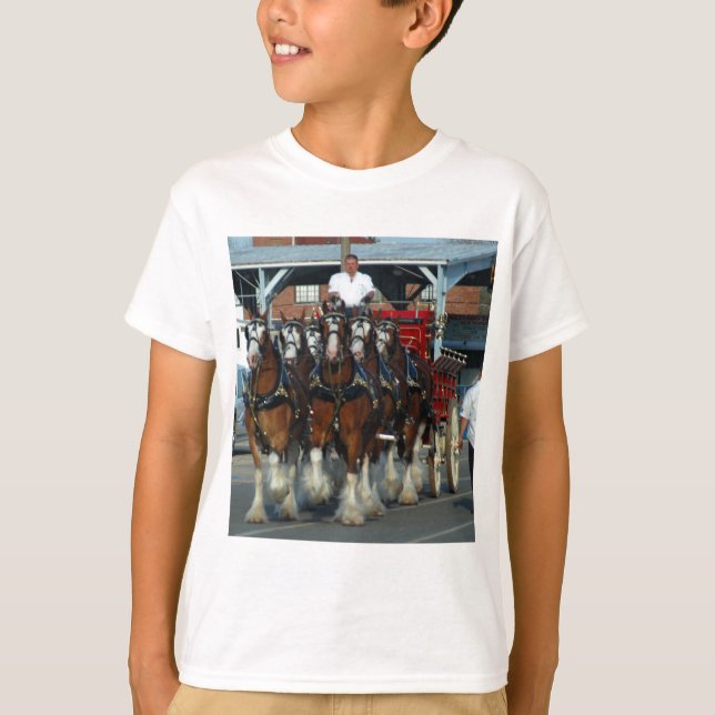 Clydesdale 6 horse hitch T-Shirt (Front)