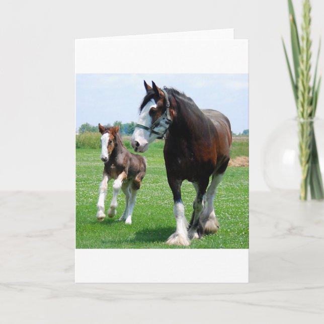 Clydesdale and Filly Card (Front)