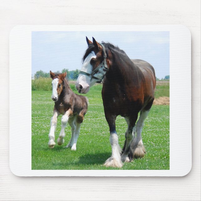 Clydesdale and Filly Mouse Pad (Front)
