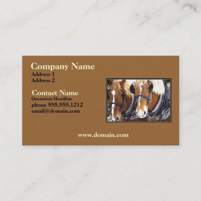 Clydesdale Draft Horse Business Card (Front)