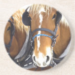 Clydesdale Draft Horse Coasters