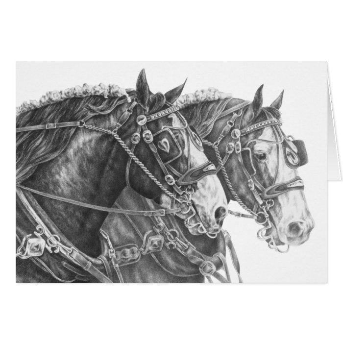 Clydesdale Draft Horse Drawing by Kelli Swan Card