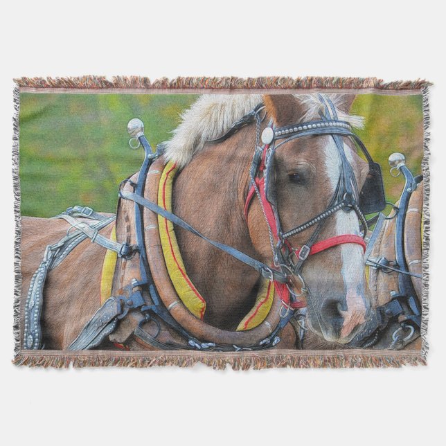Clydesdale Draft Horse Equine Photo Gift Throw Blanket (Front)