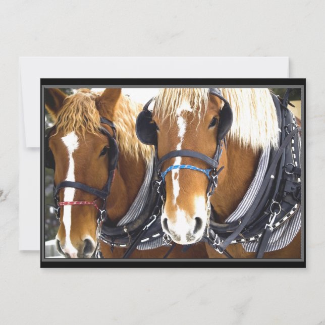 Clydesdale Draft Horse Invitation (Front)