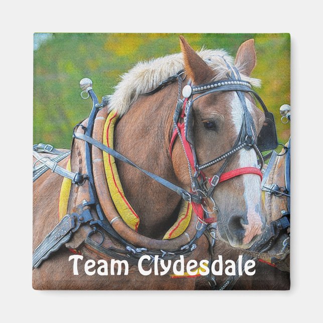 Clydesdale Draft Horse Team Magnetic Art Gift Magnet (Front)