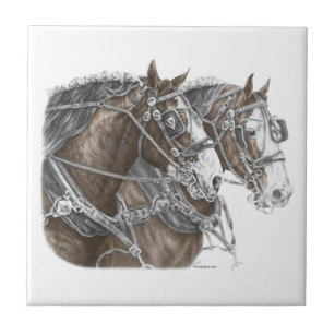 Clydesdale Draft Horse Team Tile