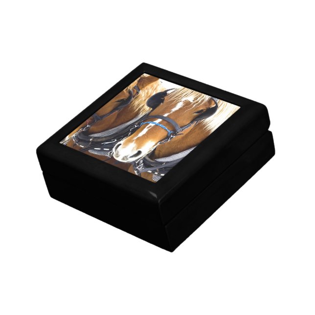 Clydesdale Draft Horses Gift Box (Side)