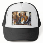 Clydesdale Draft Horses Hat