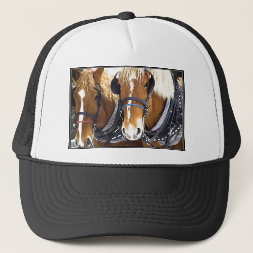 Clydesdale Draft Horses Hat