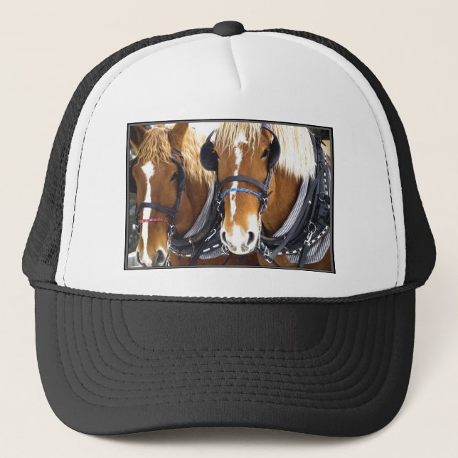 Clydesdale Draft Horses Hat (Front)