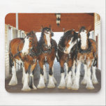 Clydesdale Draft Horses in the Barn Mouse Pad<br><div class="desc">design by Sharon of HorseDesigns.com</div>