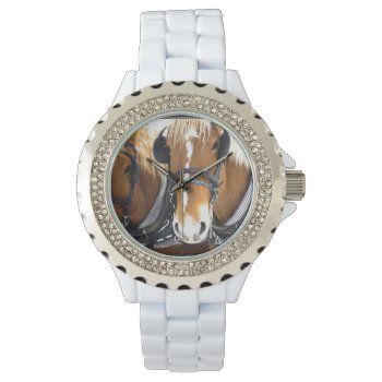 Clydesdale Draft Horses Watch by HorseStall at Zazzle