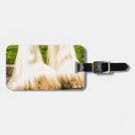 Clydesdale Feet Luggage Tag
