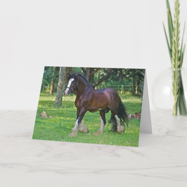 Clydesdale Horse Card (Front)