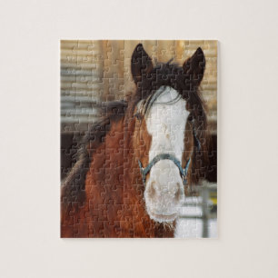 Clydesdale horse jigsaw puzzle