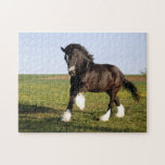 Clydesdale Horse Jigsaw Puzzle