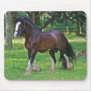 Clydesdale Horse Mouse Pad