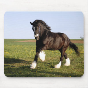 Clydesdale Horse Mouse Pad
