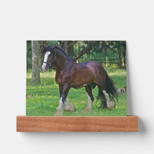 Clydesdale Horse Picture Ledge