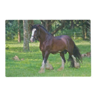 Clydesdale Horse