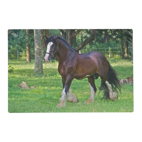 Clydesdale Horse Placemat