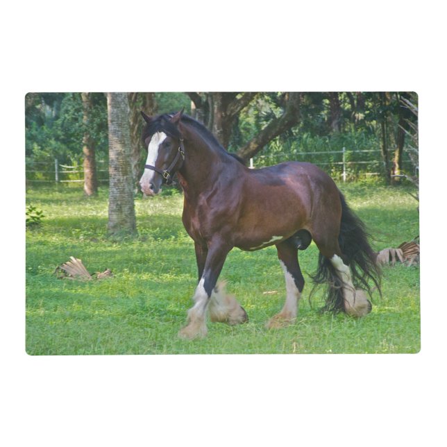 Clydesdale Horse Placemat (Front)