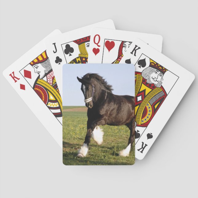 Clydesdale Horse  Poker Cards (Back)