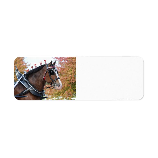 Clydesdale horse return address label (Front)