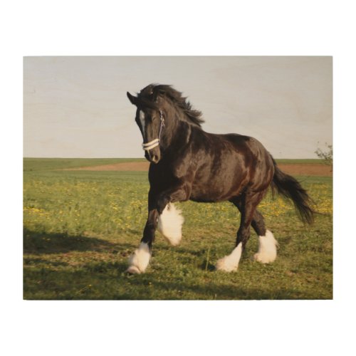 Clydesdale Horse  Wood Wall Art