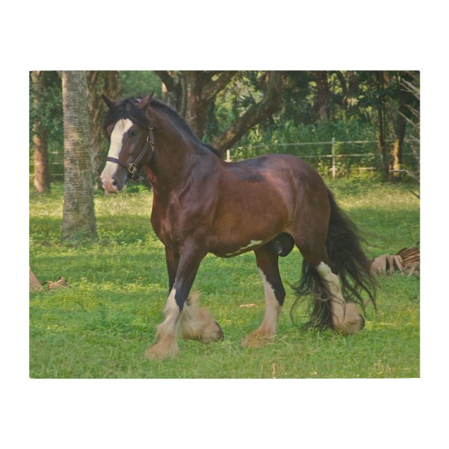 Clydesdale Horse Wood Wall Art (Front)