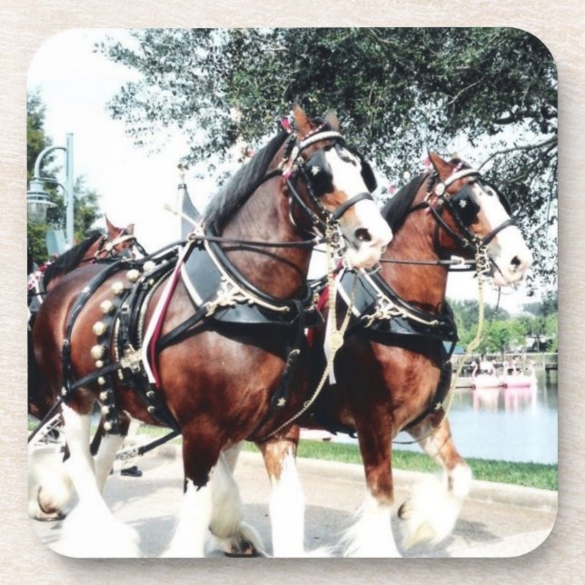 Clydesdale Horses Beverage Coaster (Front)