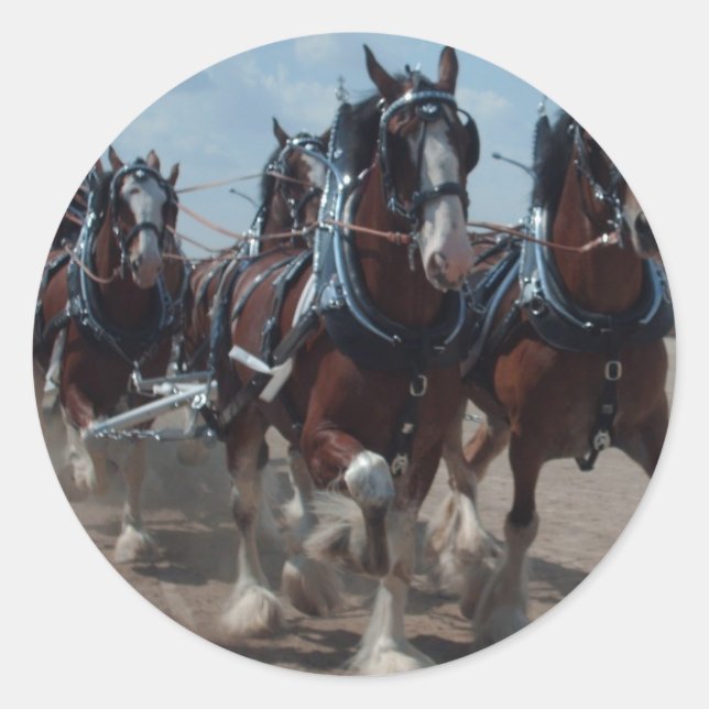 Clydesdale Horses Classic Round Sticker (Front)