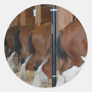 Clydesdale horses classic round sticker