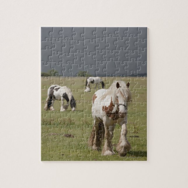 Clydesdale horses in a field, Northumberland, Jigsaw Puzzle (Vertical)