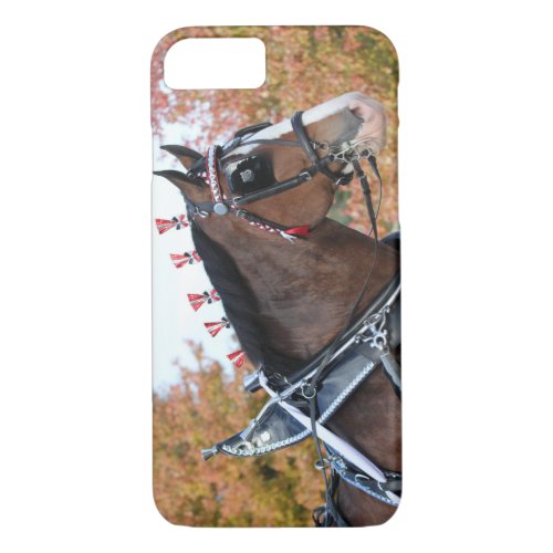 Clydesdale iPhone iPad case
