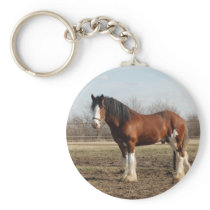 clydesdale keychain