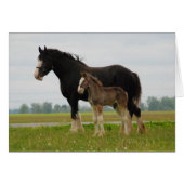 clydesdale mare and filly (Front Horizontal)