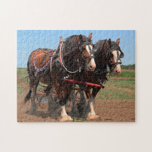 Clydesdale Ploughing Horses Jigsaw Puzzle