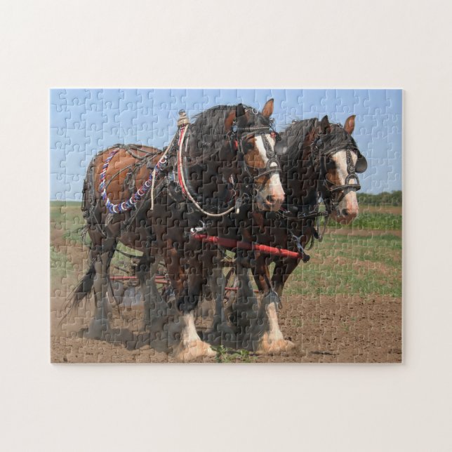 Clydesdale Plowing Horses. Jigsaw Puzzle (Horizontal)