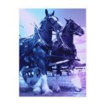 Clydesdale Postcard
