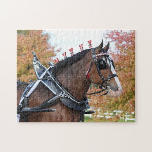 Clydesdale puzzle