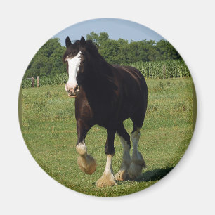 Clydesdale Running Magnet