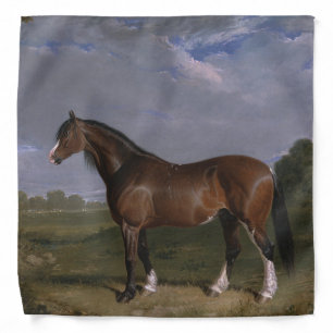 Clydesdale Stallion (Thoroughbred Horse) (Animal) Bandana
