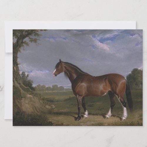 Clydesdale Stallion Thoroughbred Horse Animal Card