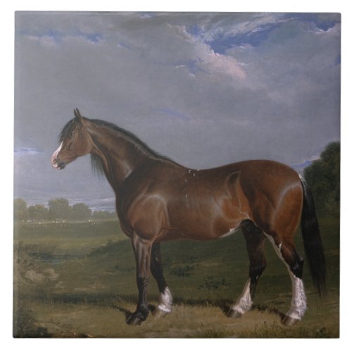 Clydesdale Stallion Thoroughbred Horse Animal Ceramic Tile