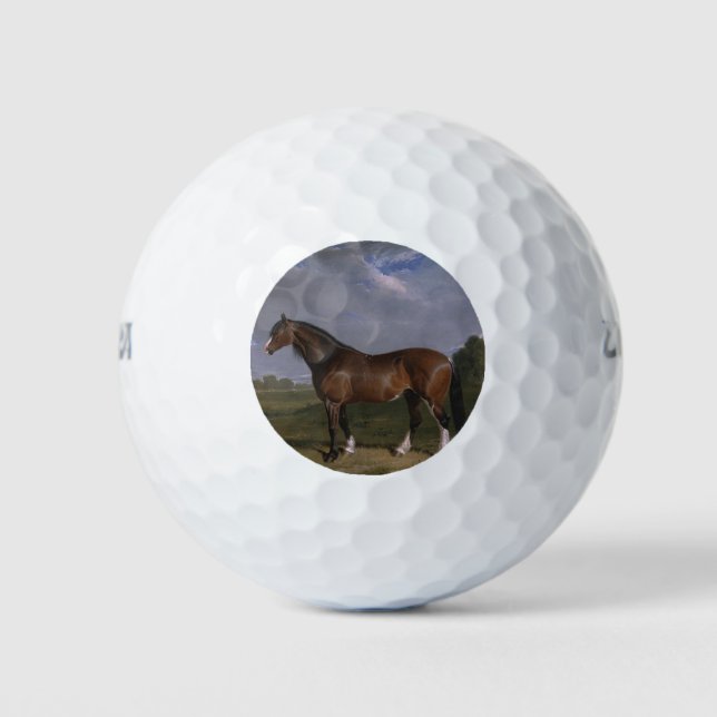 Clydesdale Stallion (Thoroughbred Horse) (Animal) Golf Balls (Front)