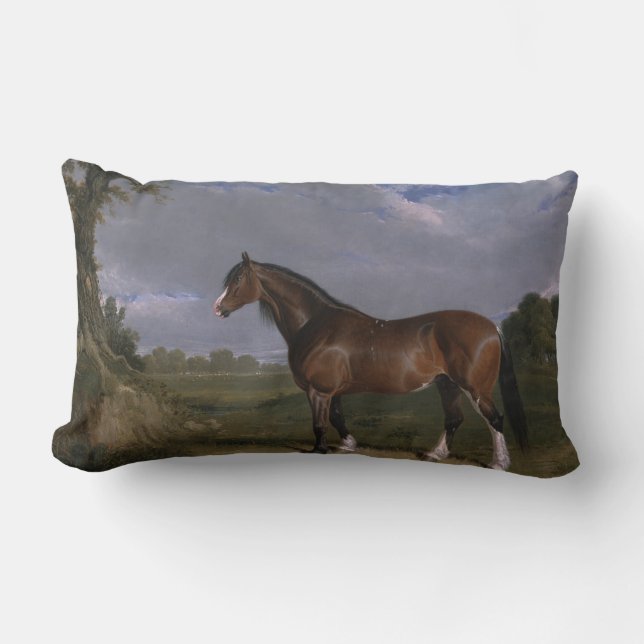 Clydesdale Stallion (Thoroughbred Horse) (Animal) Lumbar Pillow (Front)