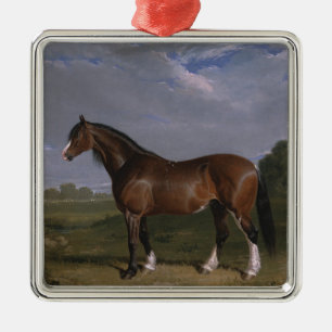 Clydesdale Stallion (Thoroughbred Horse) (Animal) Metal Ornament