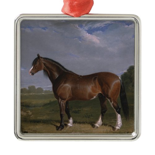 Clydesdale Stallion (Thoroughbred Horse) (Animal) Metal Ornament